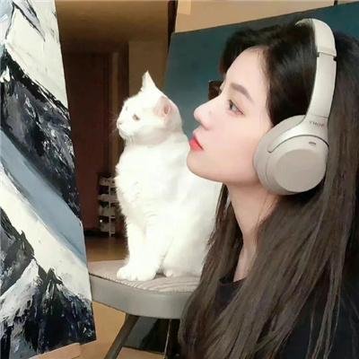 艾米·舒默皮革特辑