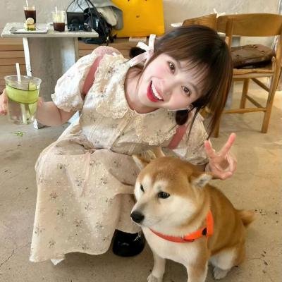 安娜的旅程